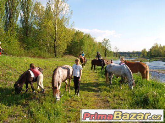 Hledáme nové členy pro náš PONY tým v Ostravě – fotografie 4