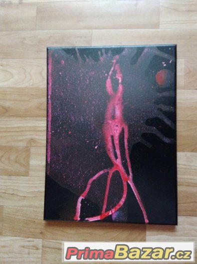 OBRAZ 30X40cm – fotografie 1