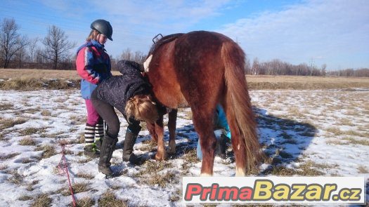 Jarní prázdniny s koňmi – fotografie 2