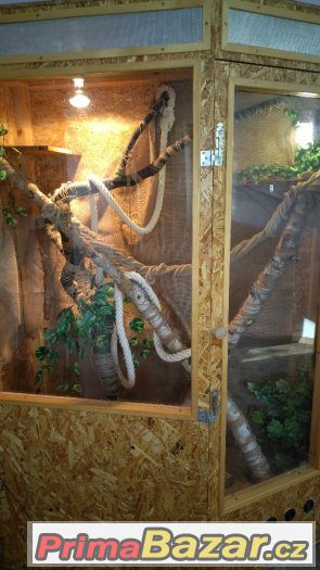 Terarium – fotografie 2