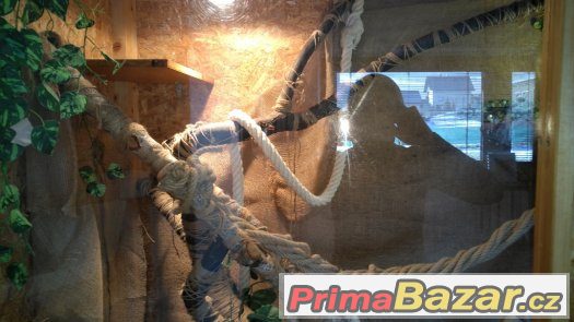 Terarium – fotografie 3