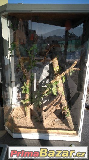 Terarium – fotografie 3
