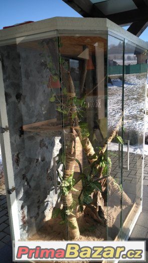 Terarium – fotografie 4