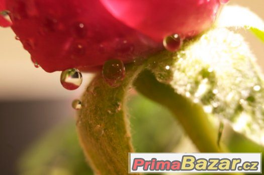 Manuální Makro Mezikroužky NIKON D90 D3100 D70 D50 – fotografie 3