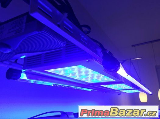LED osvětlení pro mořská akvária, PC 75.000,- – fotografie 2