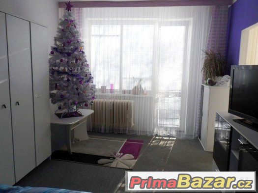 Útulný byt 2+1 s balkónem v Mariánských Lázních – fotografie 3