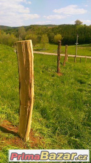 Štípané dubové kůly - skladem = ihned k odběru – fotografie 1