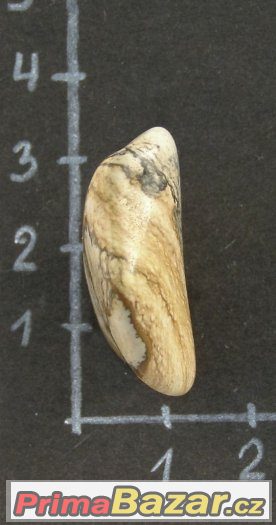 Jaspis - obrázkový XL(JAR) (121) – fotografie 3