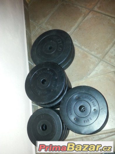 65 kg kotouče – fotografie 2