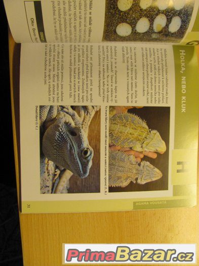 Kniha AGAMA VOUSATÁ – fotografie 3