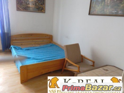 Pronájem byt 1+1 Tuřany, Brno – fotografie 2