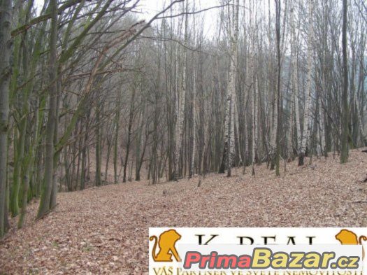 Prodej stavební pozemek Meziříčko, okr. Blansko – fotografie 3