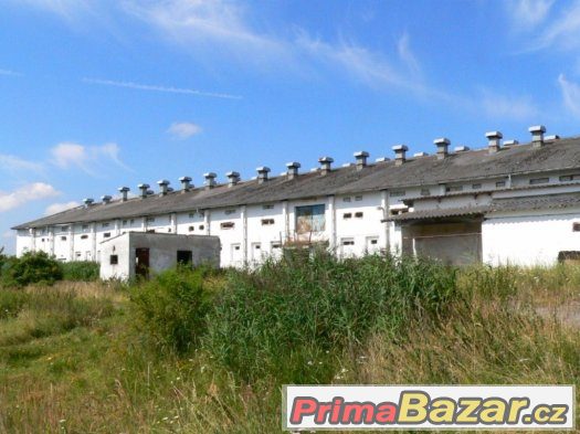Mirotice Boudy Hala 2000 m2, 2 patrová + poz 5000 m2 – fotografie 2