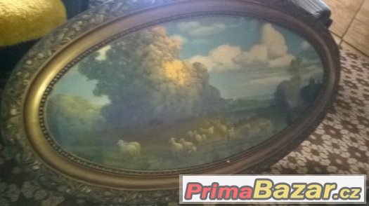 Obraz pasoucí se ovce – fotografie 2