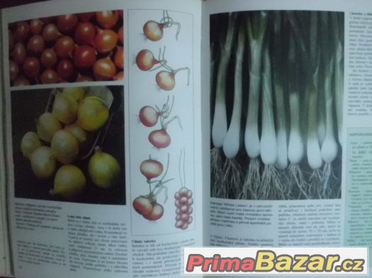 4x  pěkná obr Kniha -Jaro,Léto,Podzim,Zima v Zahradě – fotografie 2