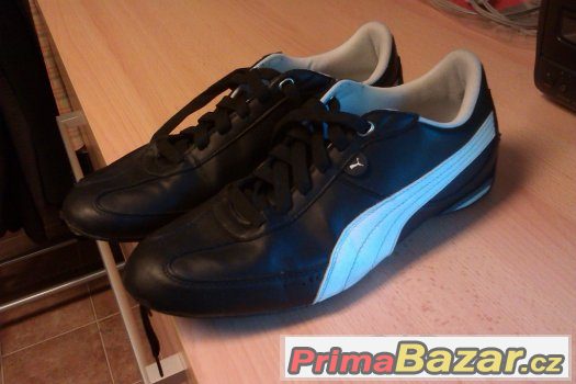 Puma – fotografie 2