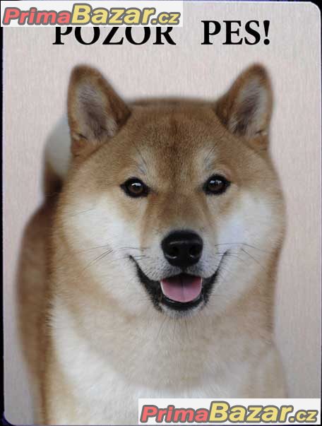 Luxusní hliníková bezpečnostní tabulka, POZOR PES Shiba Inu, Šiba inu