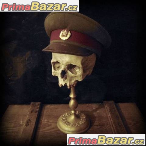 Lidská lebka (human skull replica) – fotografie 3
