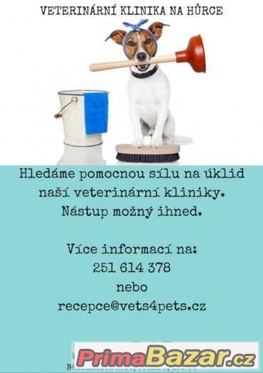 Pomocná síla na úklid veterinární kliniky – fotografie 1