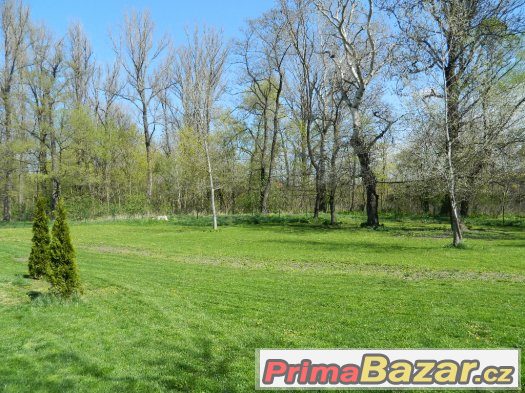 zahrada v Žatci 3500m2, s mobilním domem – fotografie 4