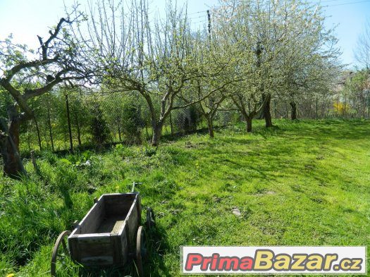 zahrada v Žatci 3500m2, s mobilním domem – fotografie 5