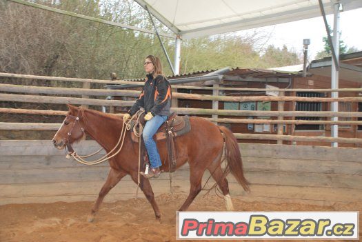 29. dubna - sobota - Horsemanship 2 a 3 kurz s Václavem Bořá – fotografie 2