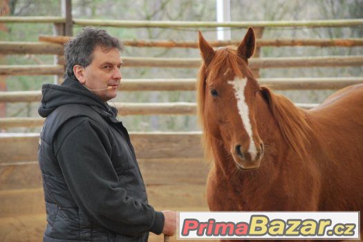 29. dubna - sobota - Horsemanship 2 a 3 kurz s Václavem Bořá – fotografie 3