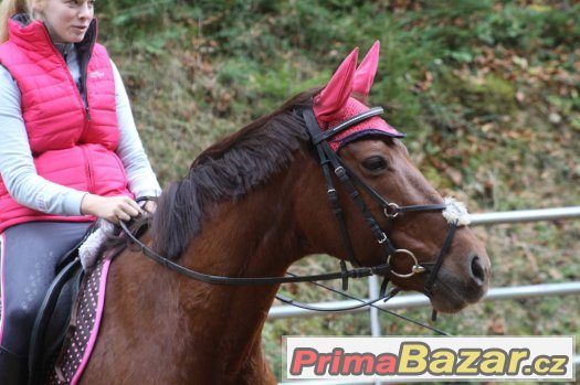 24.června.2017 sobota  Společný trénink - kurz s  Václavem, – fotografie 2