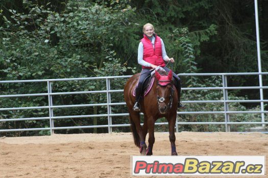 24.června.2017 sobota  Společný trénink - kurz s  Václavem, – fotografie 3