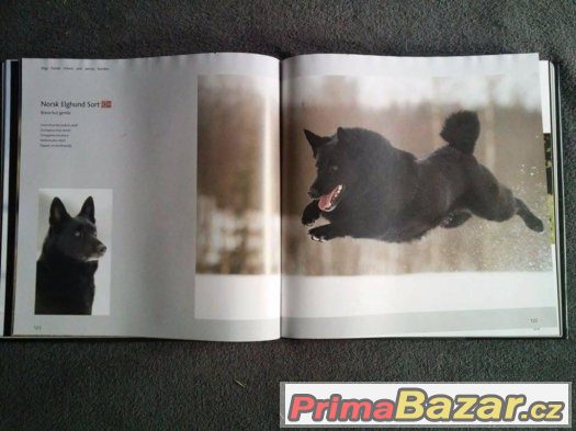 Fotokniha DOGS H-Z – fotografie 1