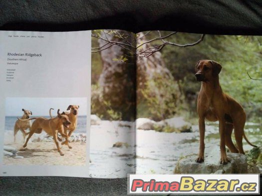 Fotokniha DOGS H-Z – fotografie 3