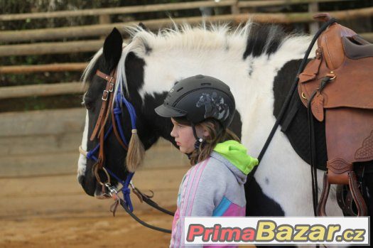27. května 2917 - sobota - Horsemanship 3 kurz s Václavem Bo – fotografie 3