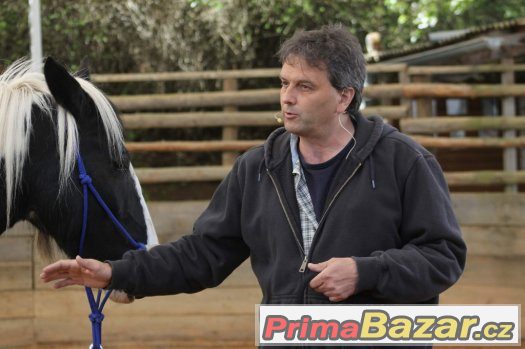 27. května 2917 - sobota - Horsemanship 3 kurz s Václavem Bo – fotografie 4