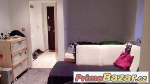 Pronájem bytu 1+1 Teplice – Sobědruhy – fotografie 1