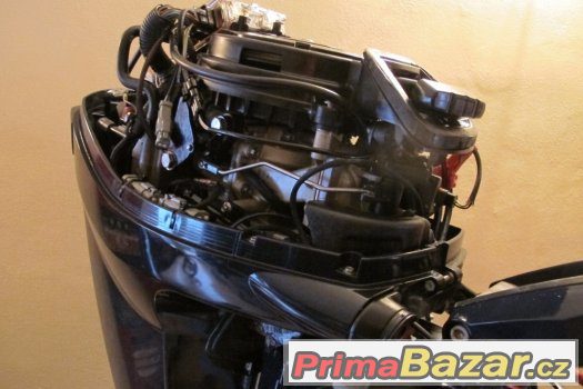 Evinrude 25 HP, S, CE – fotografie 4