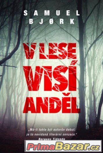 V lese visí anděl – fotografie 1