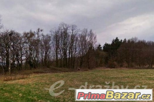 Les (17 863 m2), Heřmanice u Žandova, Česká Lípa, ev.č. 001A – fotografie 1