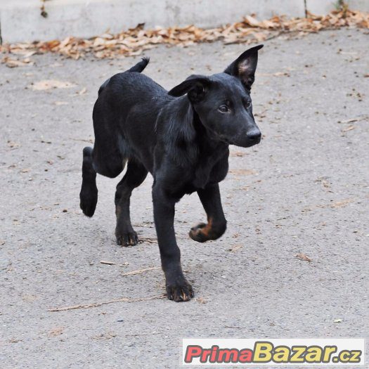 Bella a Charlie – fotografie 2