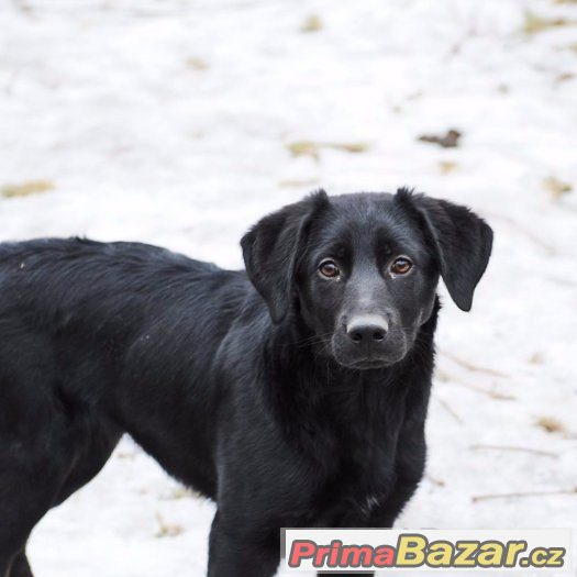 Bella a Charlie – fotografie 3
