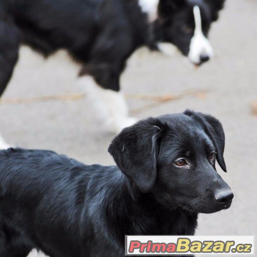 Bella a Charlie – fotografie 5