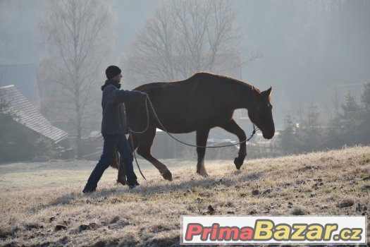 Pastevní ustájení v Chotěvicích, kurz Horsemanshipu 25.2. – fotografie 1