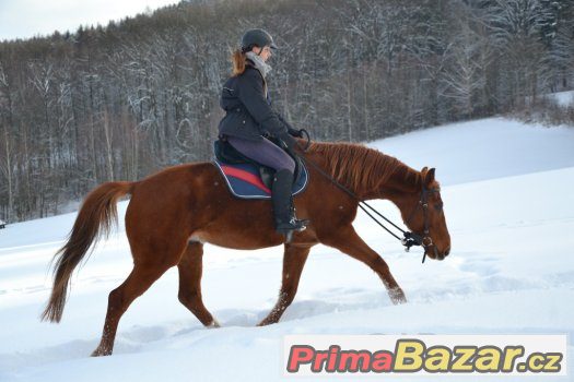 Pastevní ustájení v Chotěvicích, kurz Horsemanshipu 25.2. – fotografie 3