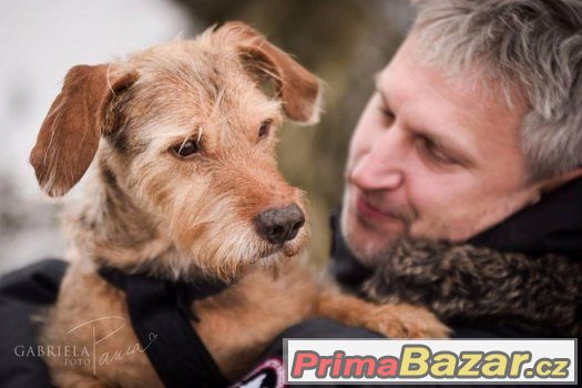 Maxík – fotografie 5