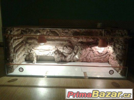 Terarium sleva....3000-, – fotografie 1