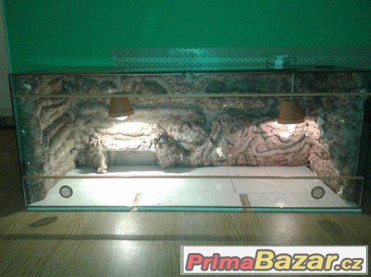 Terarium sleva....3000-, – fotografie 2
