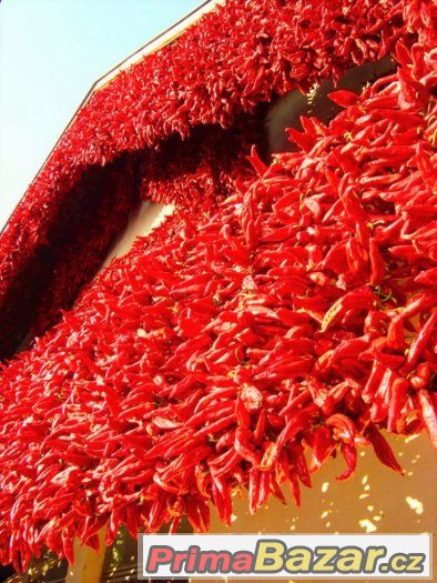 DOLNOZEMSKÁ PAPRIKA mletá červená paprika výjimečné kvality – fotografie 1