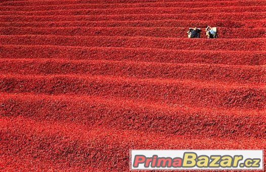 DOLNOZEMSKÁ PAPRIKA mletá červená paprika výjimečné kvality – fotografie 3