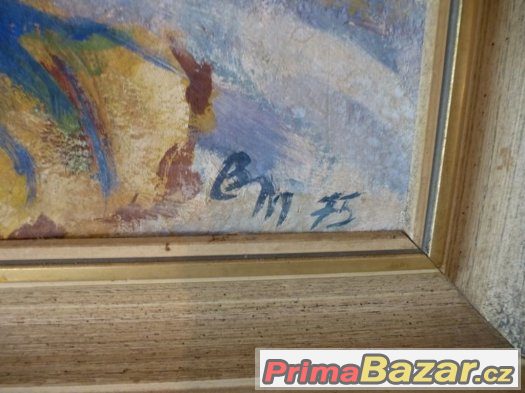 Obraz ovoce - originál – fotografie 2