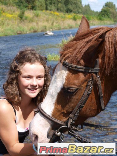 Prázdniny s koňmi v Ostravě – fotografie 2