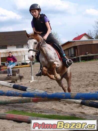Přijímáme nové členy do Pony týmu – fotografie 3